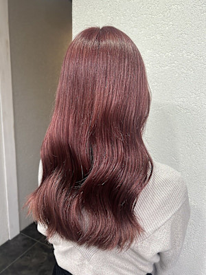 チェリーピンクレッドピンク成増地下鉄成増大山