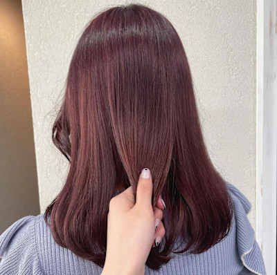 ラベンダーピンクワインレッド成増地下鉄成増大山