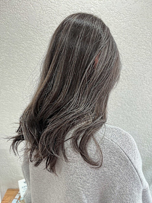 コントラストハイライト成増地下鉄成増大山