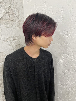 マッシュウルフレッドカラー成増地下鉄成増大山