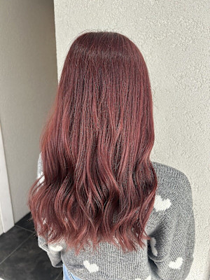 チェリーピンクレッドピンク成増地下鉄成増大山