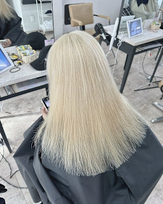 ホワイトブロンドハイトーン成増地下鉄成増大山