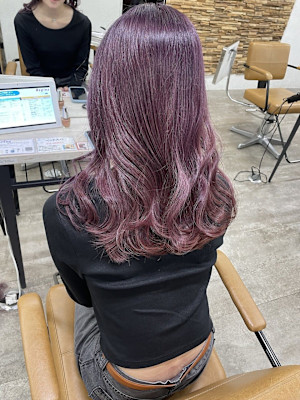 ピンクラベンダー成増地下鉄成増大山