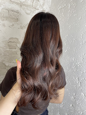 シアーカラーブラウン成増地下鉄成増大山