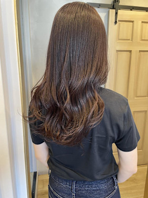 ラベンダーシアーカラー