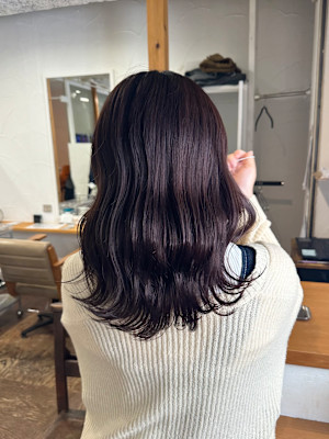 ココアブラウン