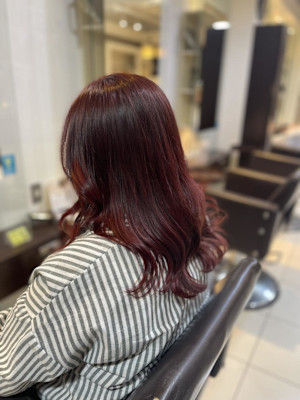 ブリーチなし　レッドバイオレットカラー