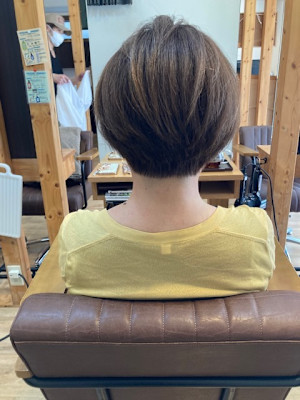 お客様髪質改善データ1316(白髪染めハイライト)