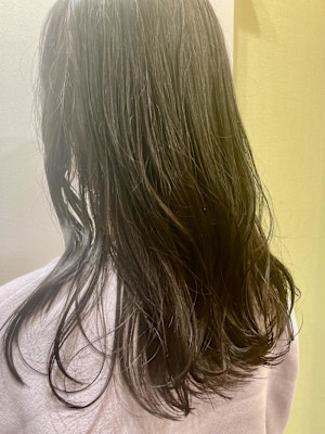 エドルカラー/ナチュラルブラウン