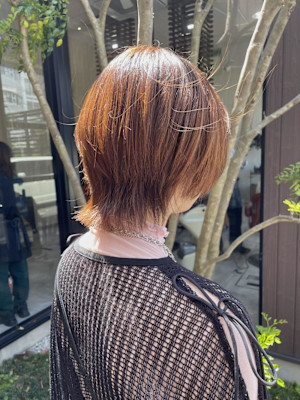 【ウルフボブ/佐藤杏丸】