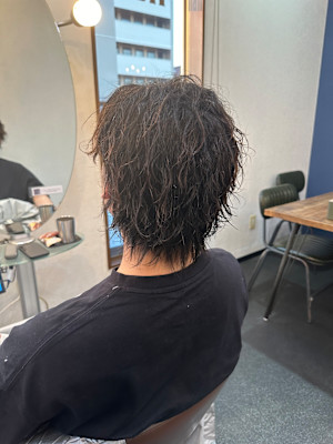 ツイスパ×ウルフ