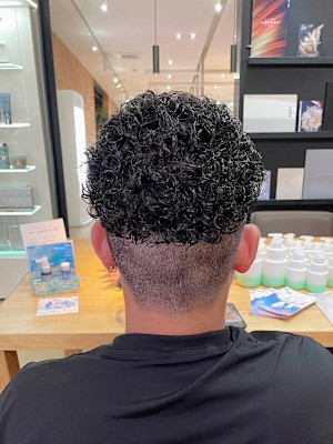 ダークアッシュ/アッシュブラック/カルマパーマ