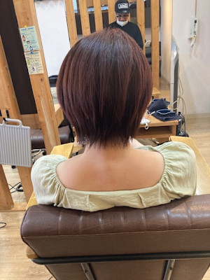 お客様髪質改善データ1340（縮毛矯正後のカット）