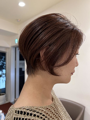 50代ハイライト