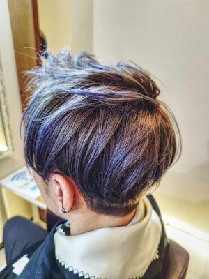 エドルプレミアムカラー：ブルー＆ホワイトアッシュ