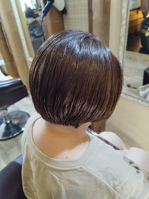 髪質改善度★★【ハホニコトリートメント付き】カラー＋カット