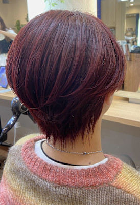 ブリーチなしWカラーレッドカラー