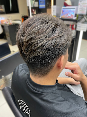 メンズ/2ブロック/白髪ぼかしハイライト/グレイヘア