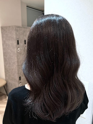 ショコララベンダーブラウン