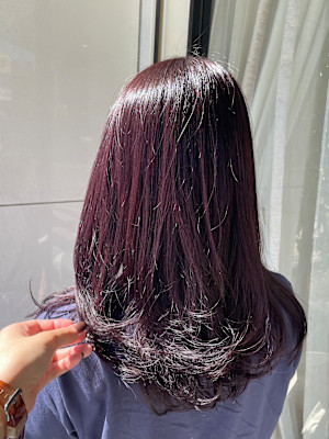 ロングレイヤー×カシスレッド