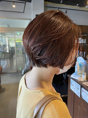 アプリコットブラウン/ショートボブ/ショート