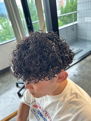 プードルパーマ