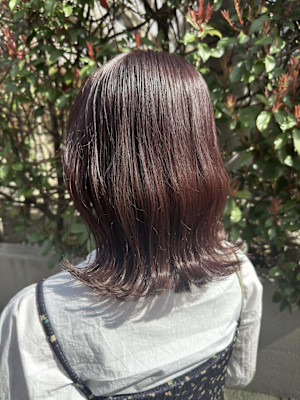 ダブルカラー/ブリーチ有/ブリーチ無/透明感/グレージュ