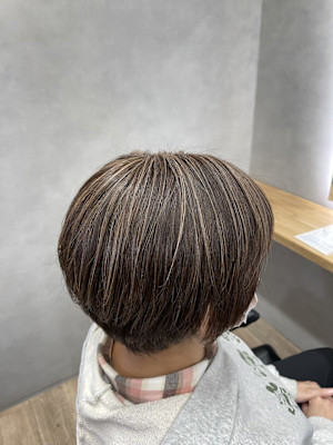 G 極細白髪ぼかし