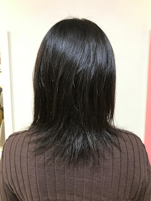 ミディアムウルフレイヤー