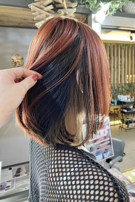 アンブレラカラー/レッド