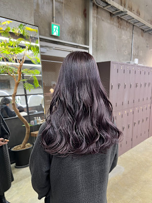 ピンクラベンダー