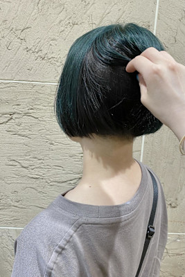 アンブレラカラー/グリーン×ブラック