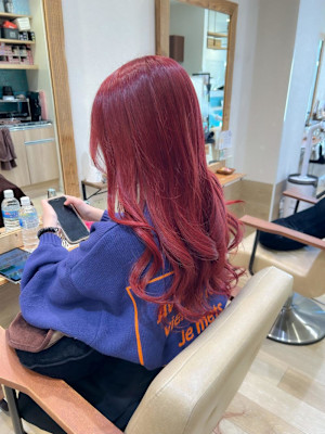 カシスカラー　レッドカラー　ハイトーン