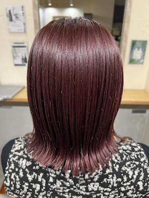 ambiente×ミディアム