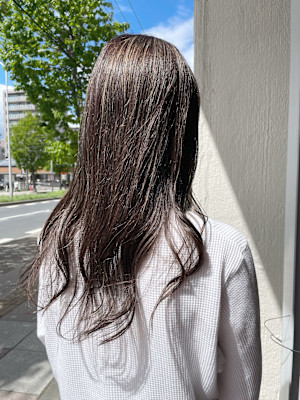 ホワイトアッシュ×ハイライト