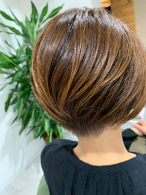 Hair Soin Lana×ショート