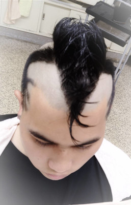 トカゲヘアー レザーアート イグアナ 爬虫類の続きね