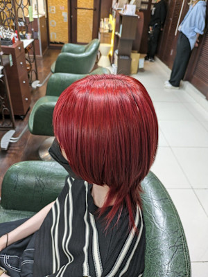 マッシュウルフ