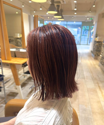 カシスレッド×ローライト