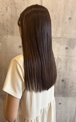 マロンブラウン/ロブスタイル