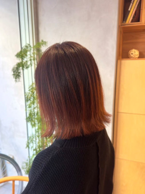 たっぷりハイライト