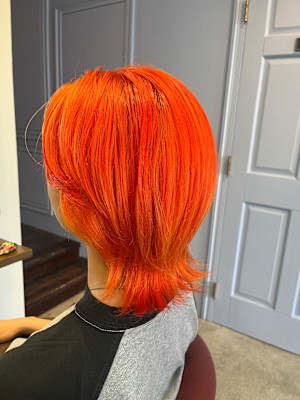 オレンジカラー×ウルフレイヤー