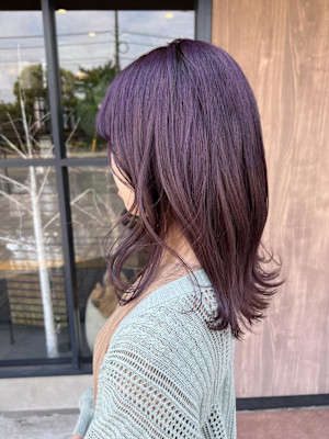 パープルカラー