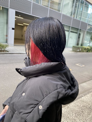 デザインカラー/レイヤーカット/ウェットヘア