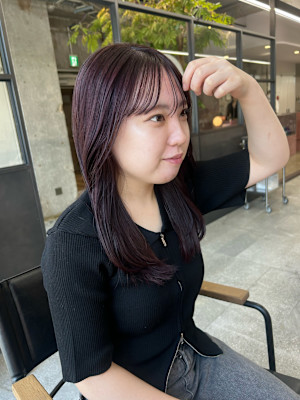 チョコレートラベンダー