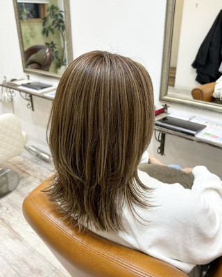 レイヤー/ハイライト/白髪ぼかし