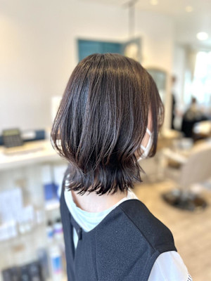 ミディアムレイヤー