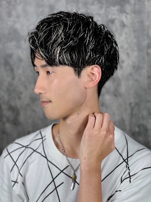 センターパートシルバーメッシュ