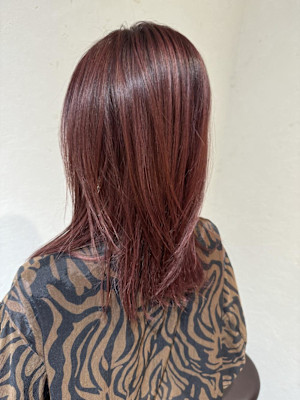 ボルドールビー