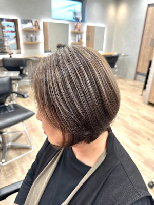 ハイライト/白髪ぼかし/ホワイト/シルバー